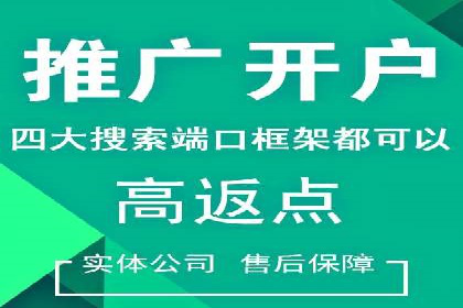 网络推广与竞价策略实战案例